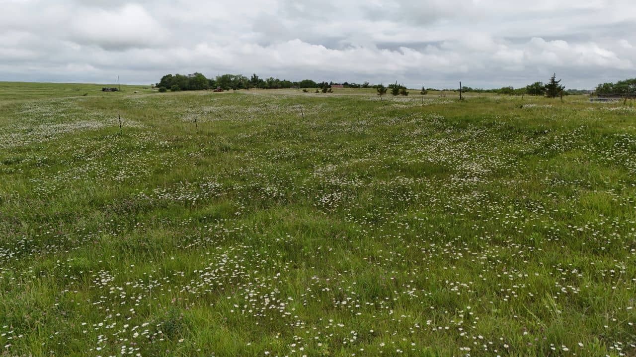 Listing Photo: johnson-county-ne-158-acres